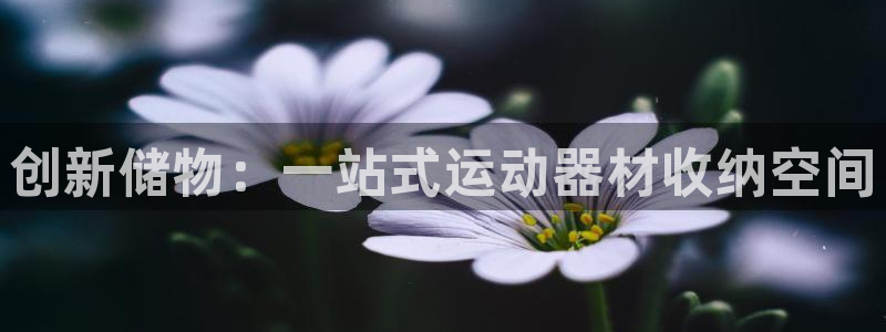 NG大舞台官方正版app娱乐下载：创新储物：一站式运动器材收