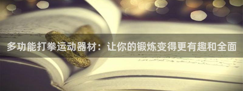 NG大舞台官网下载招商：多功能打拳运动器材：让你的锻