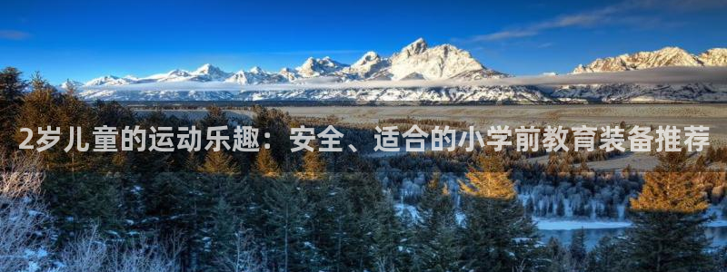 NG大舞台官网下载招商电话是多少：2岁儿童的运动乐趣：安全、