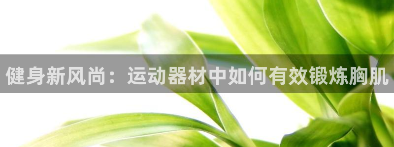 NG大舞台官方正版app科技：健身新风尚：运动器材中如何有效