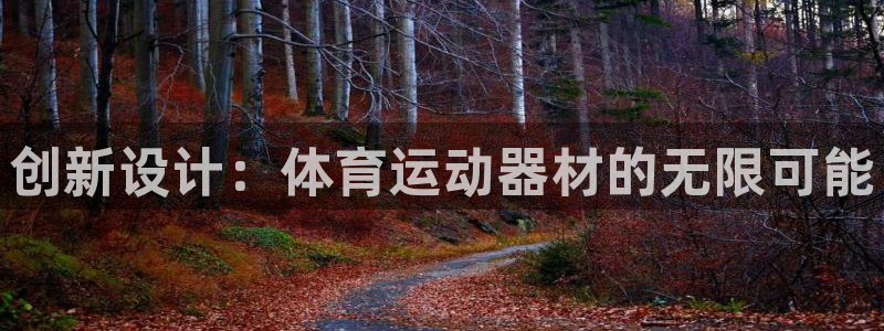 NG大舞台官网下载招商电话：创新设计：体育运动器材的无限可能