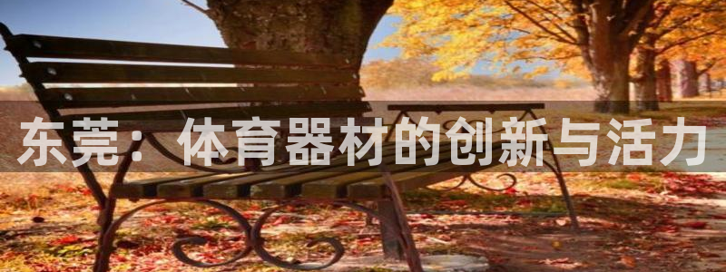 注册NG大舞台官方正版app：东莞：体育器材的创新与活力