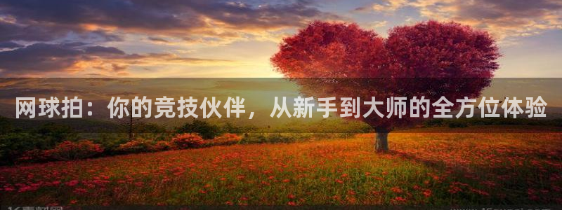 betway西汉姆联