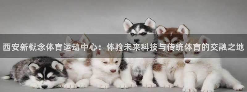 必威betway西汉姆联