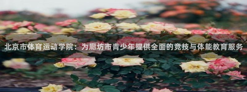 betway西汉姆