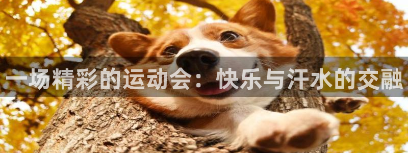 betway西汉姆联