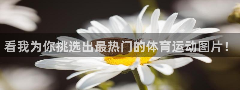 betway西汉姆联