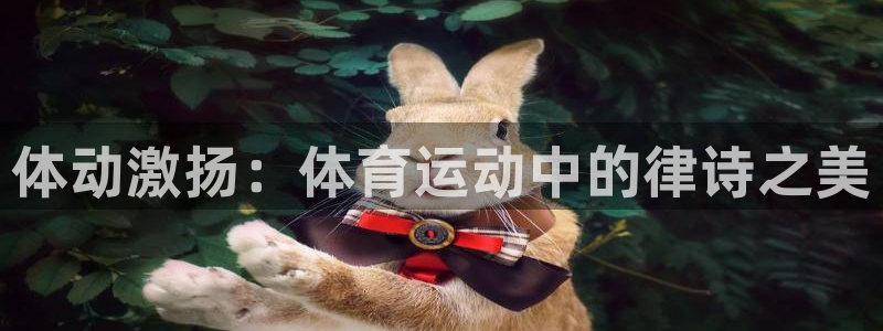 betway西汉姆联
